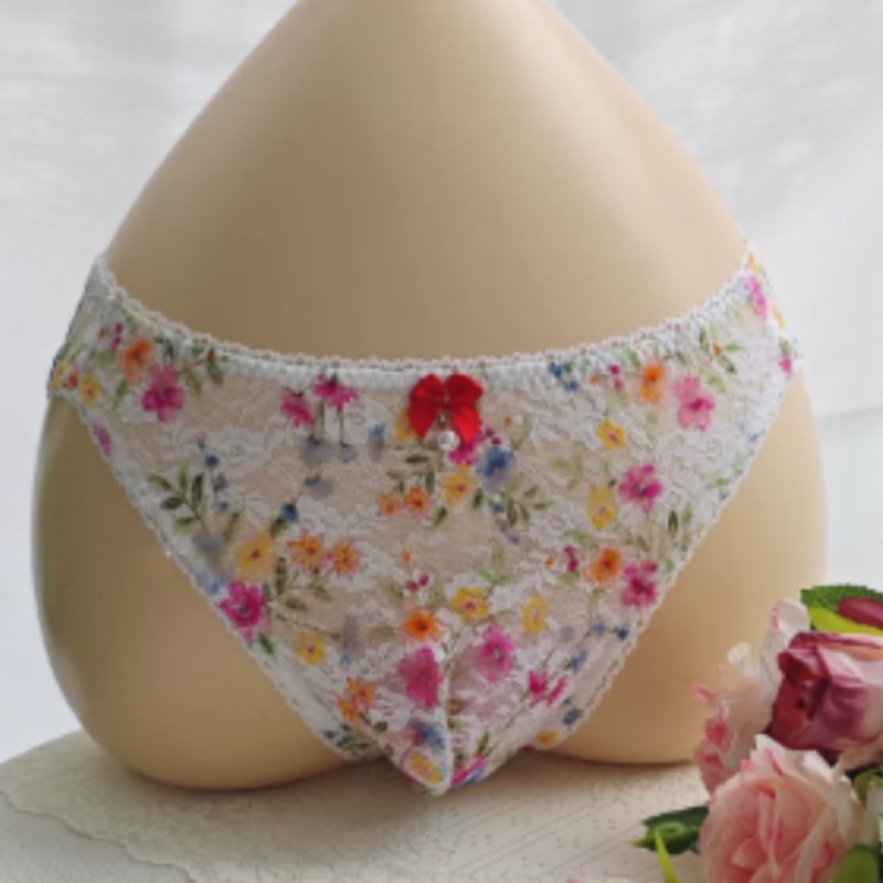 Embroidery Embellishments - Sheer Sexy Man's Lace Panties Low