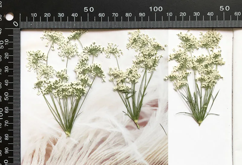 5-7cm/12pcs,Snow Tiny Flowers  - Craft Embellishments 评论和价格