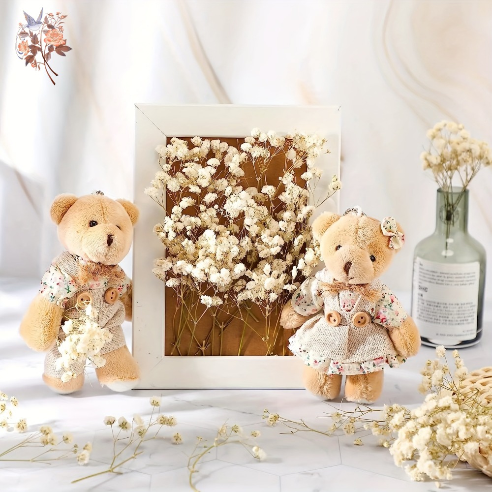 100pcs Mini Dried Baby's Breat - Craft Embellishment 评论和价格